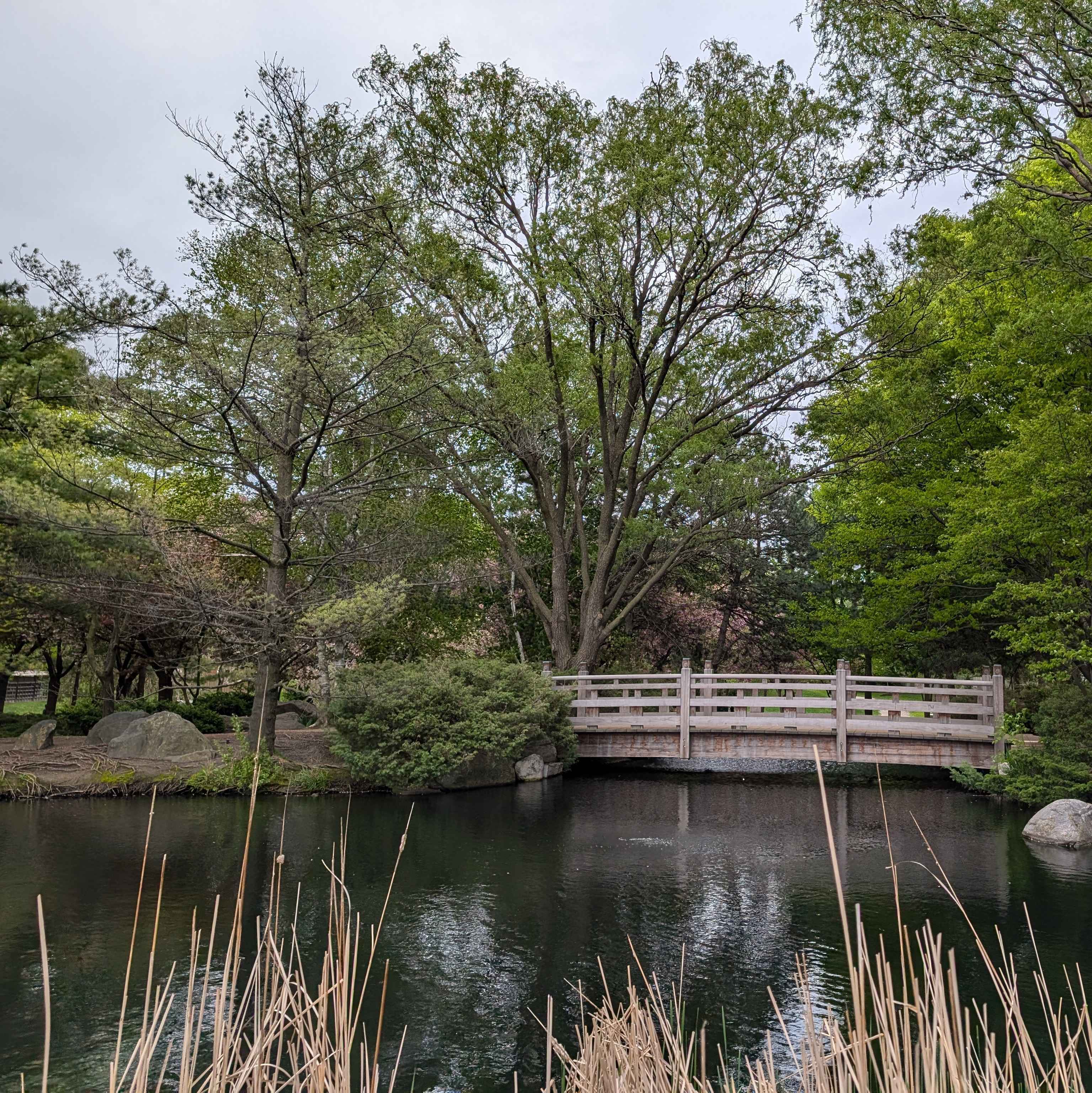 Kariya Park. An outlook of the bridge and its stream.