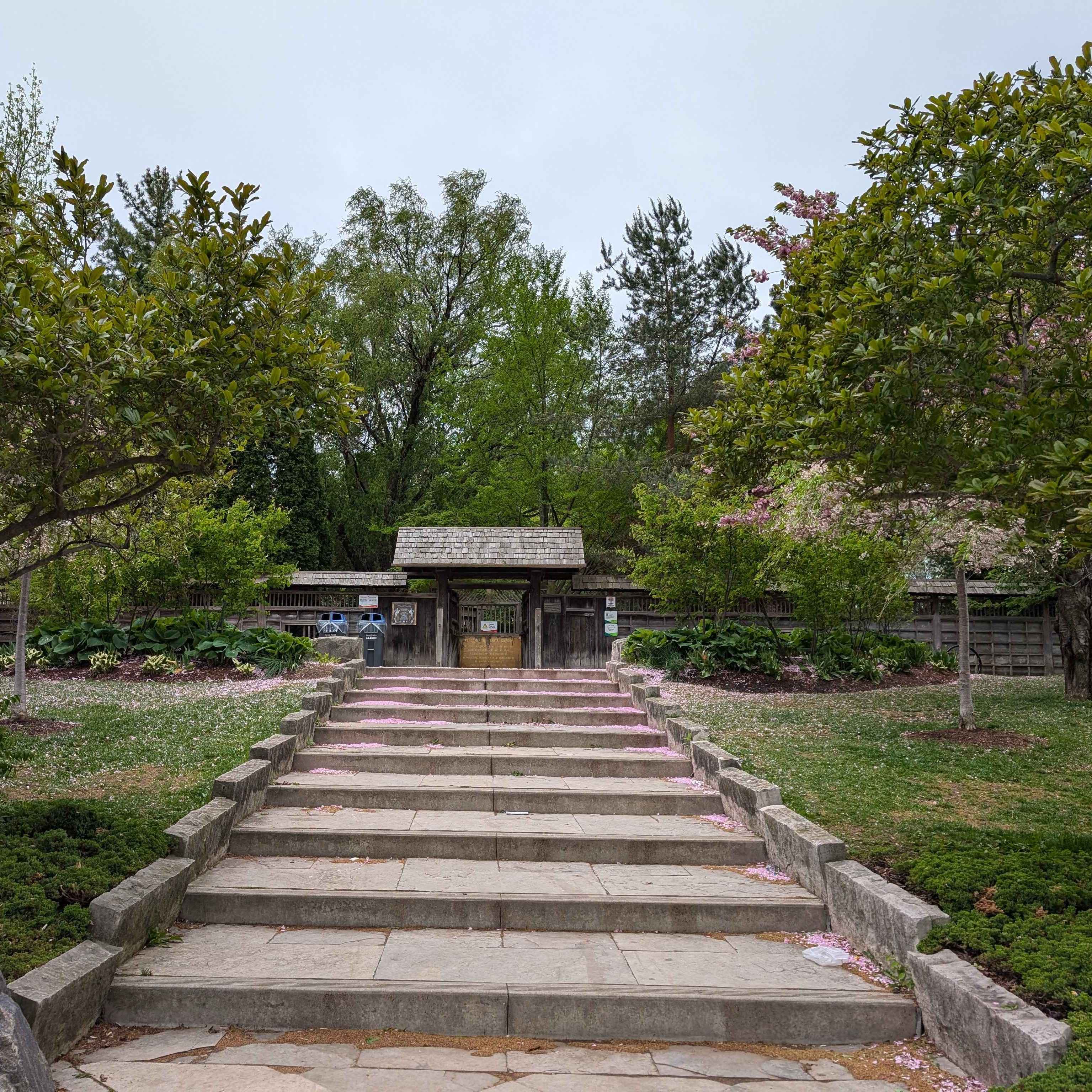 Stairs up to the Japanese-based park in Mississauga, Kariya Park.